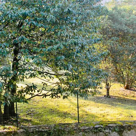 Casa Elisa 아파트